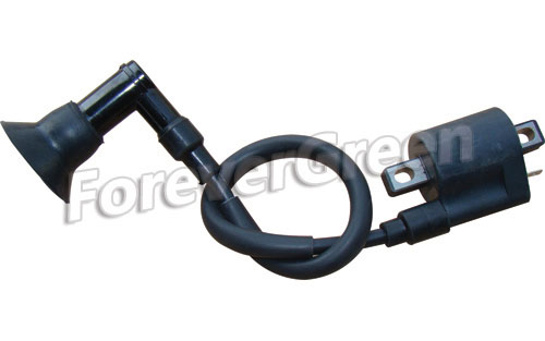 21141 Ignition Coil Comp